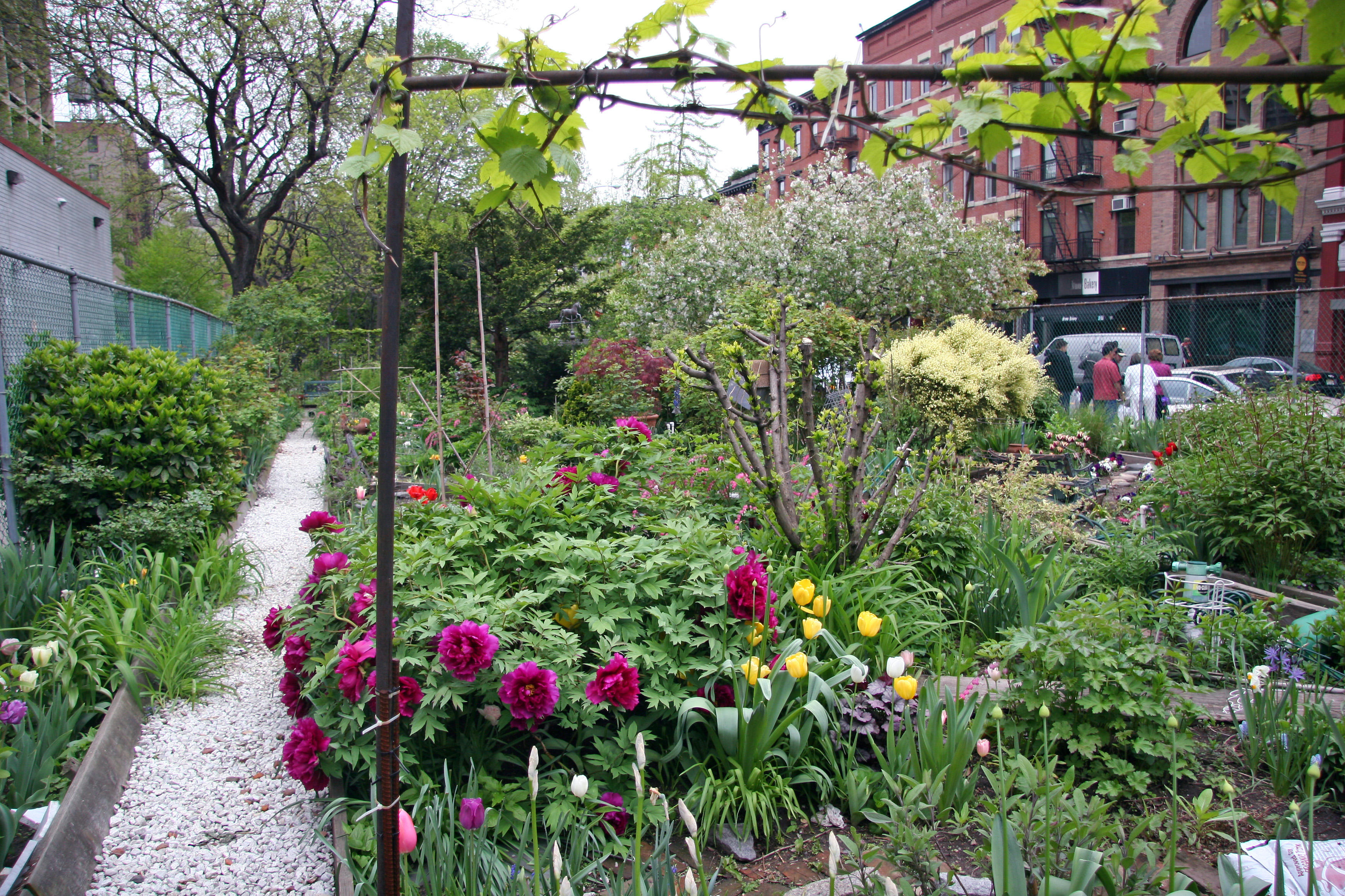 Garden View