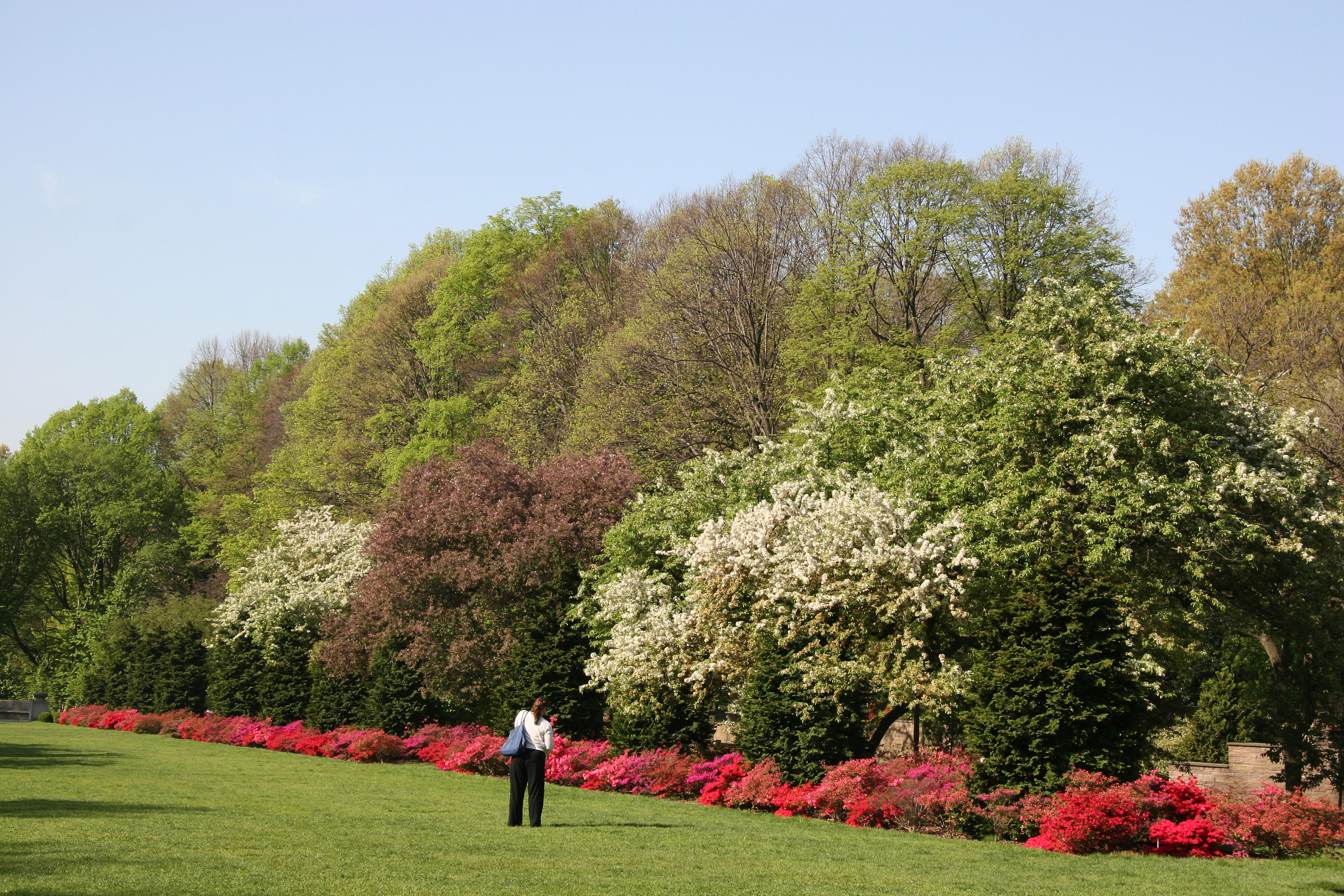 Osborne Garden