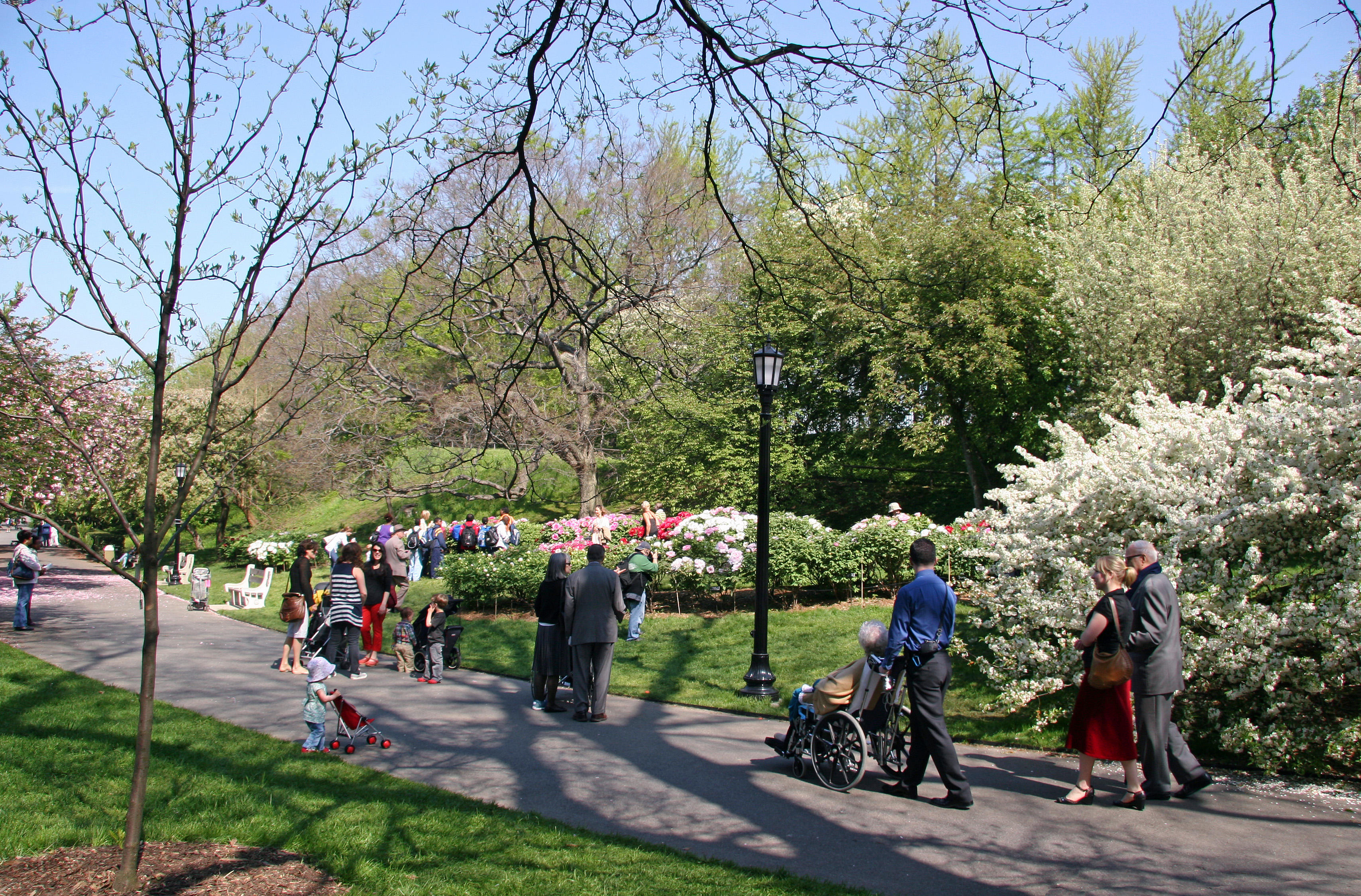 Peony & Cherry Tree Gardens