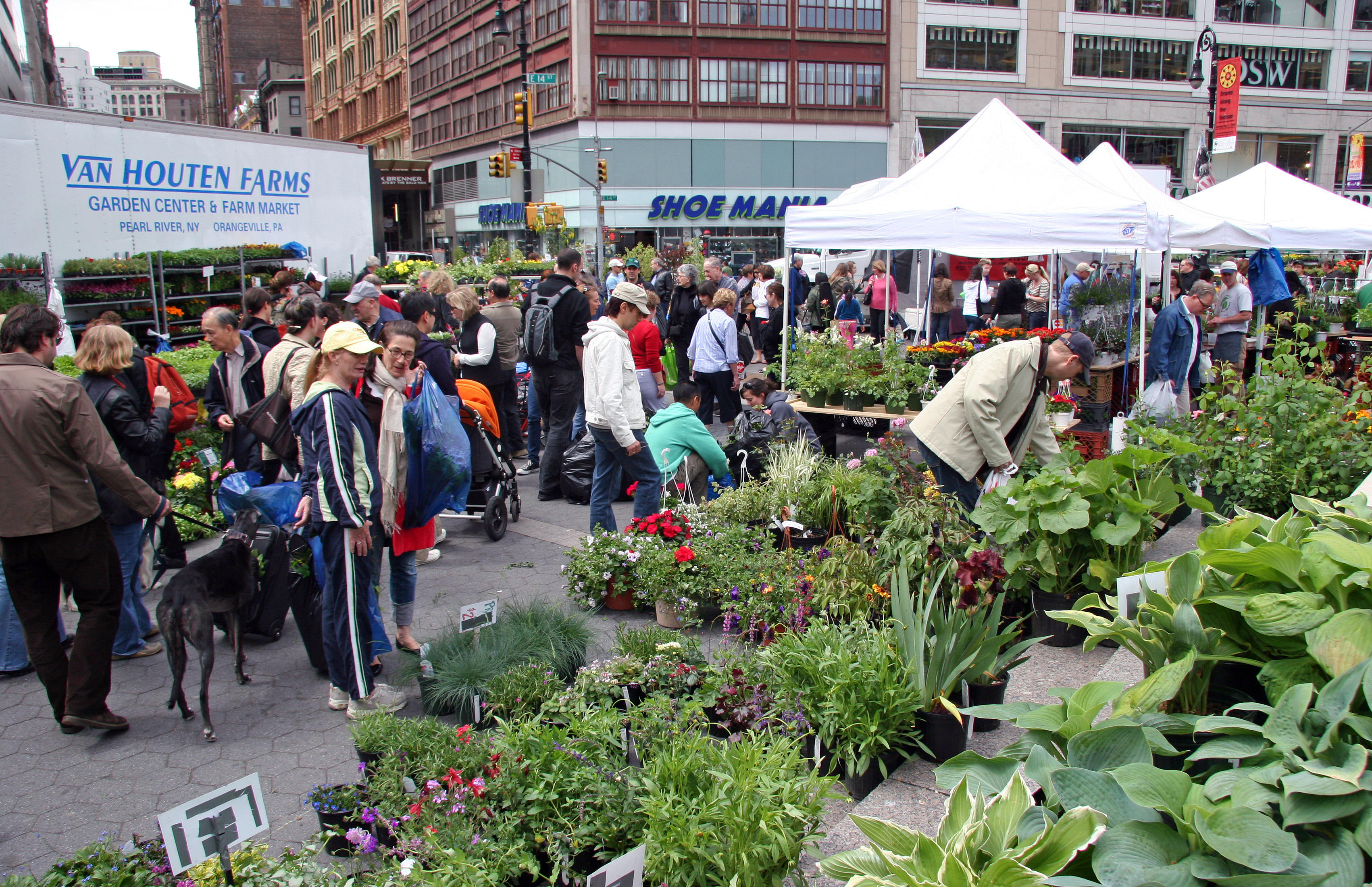 Flower Market