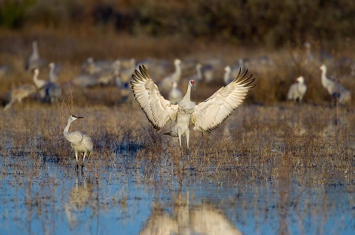 Landing