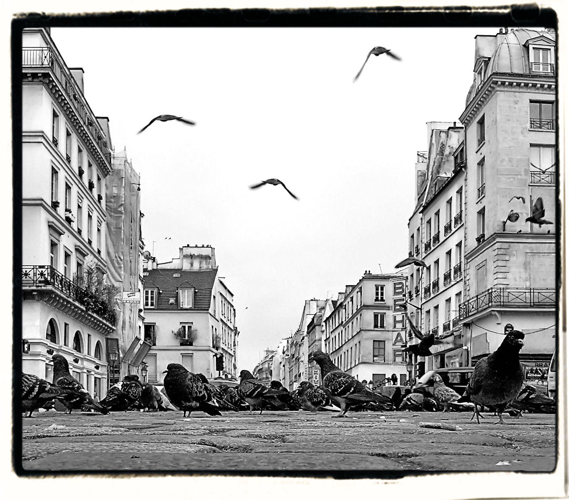 the invasion