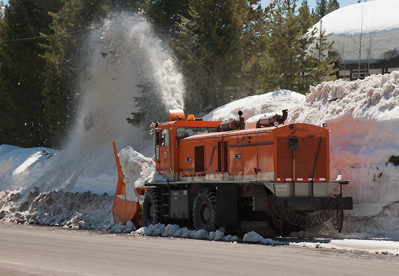 2010-11 end of season Placer Co Kodiak 1