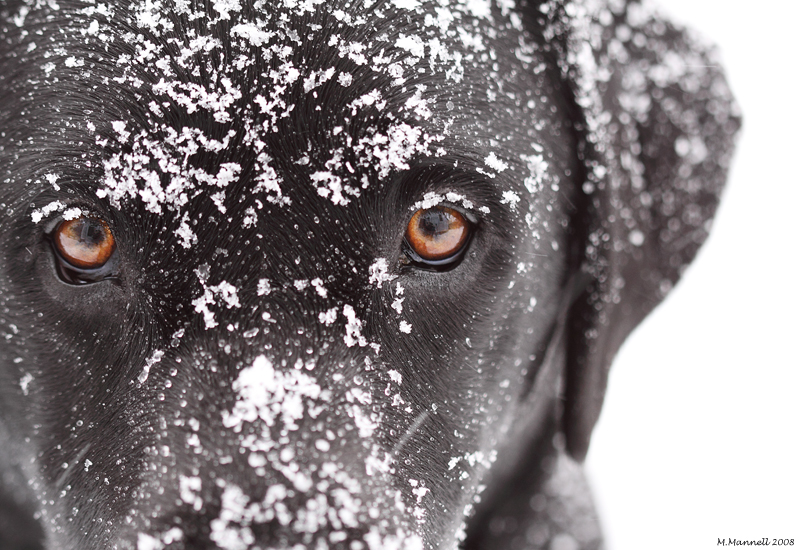 Eyes of the Storm