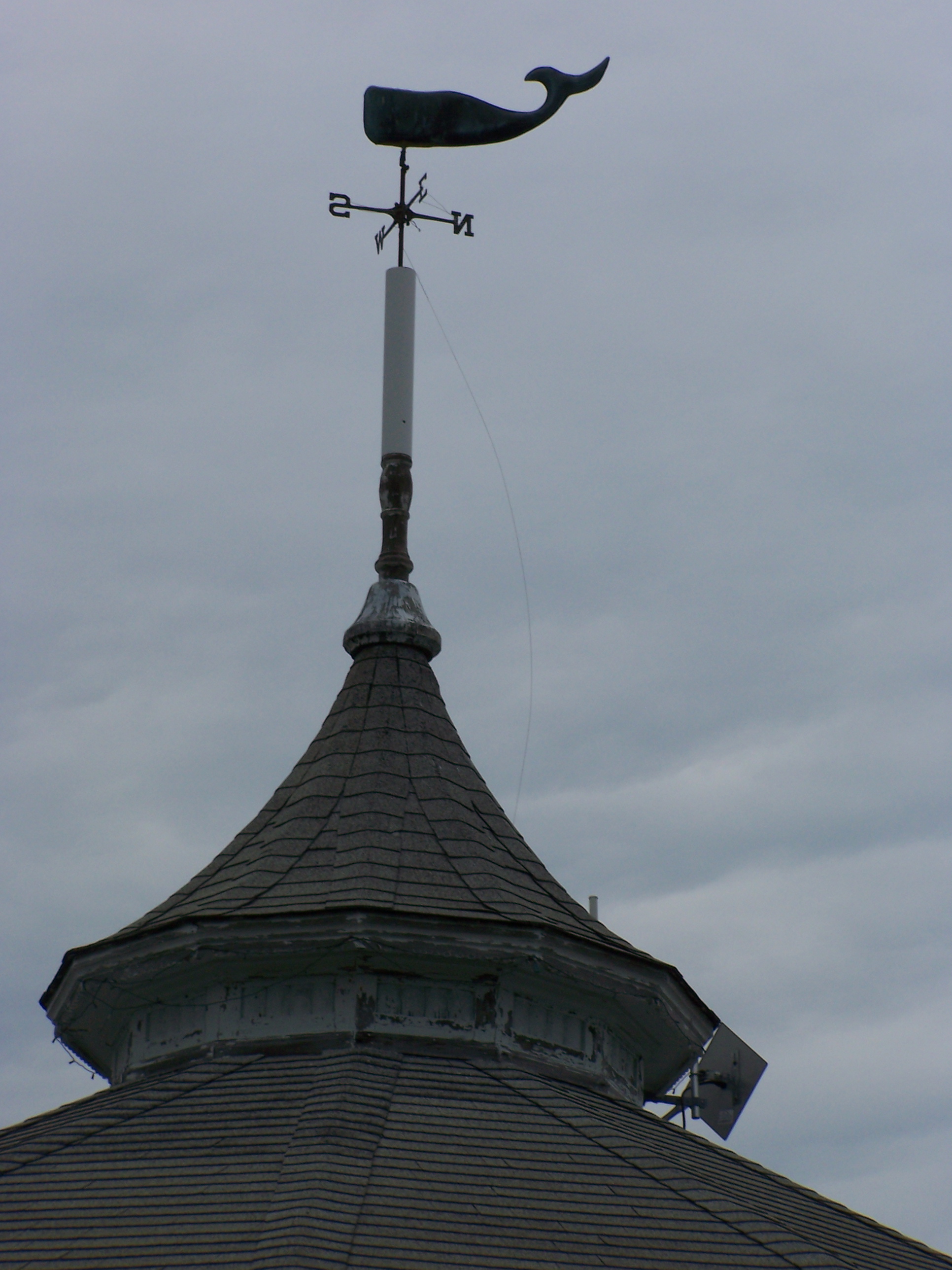 100_8454.JPG