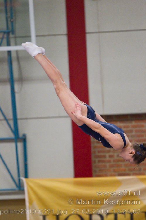Trampoline2010-0291.jpg