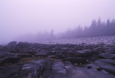 landscapes
