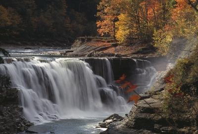 autumn splendor