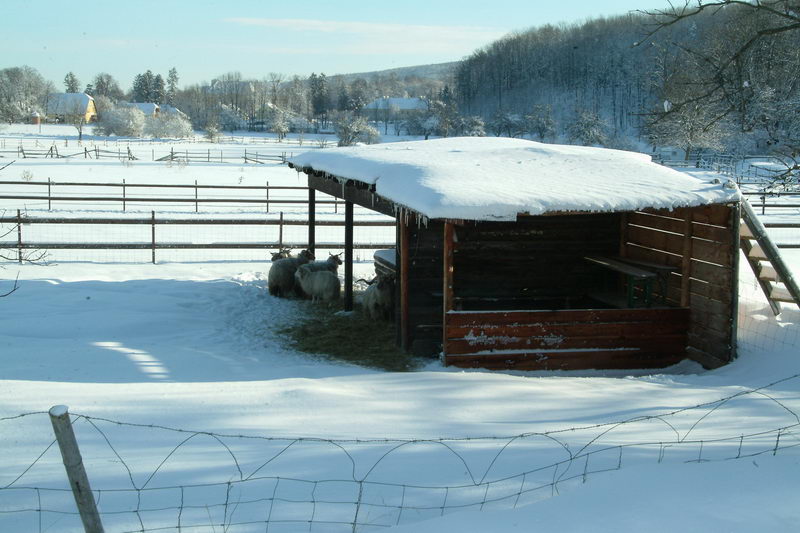 M5_076.JPG