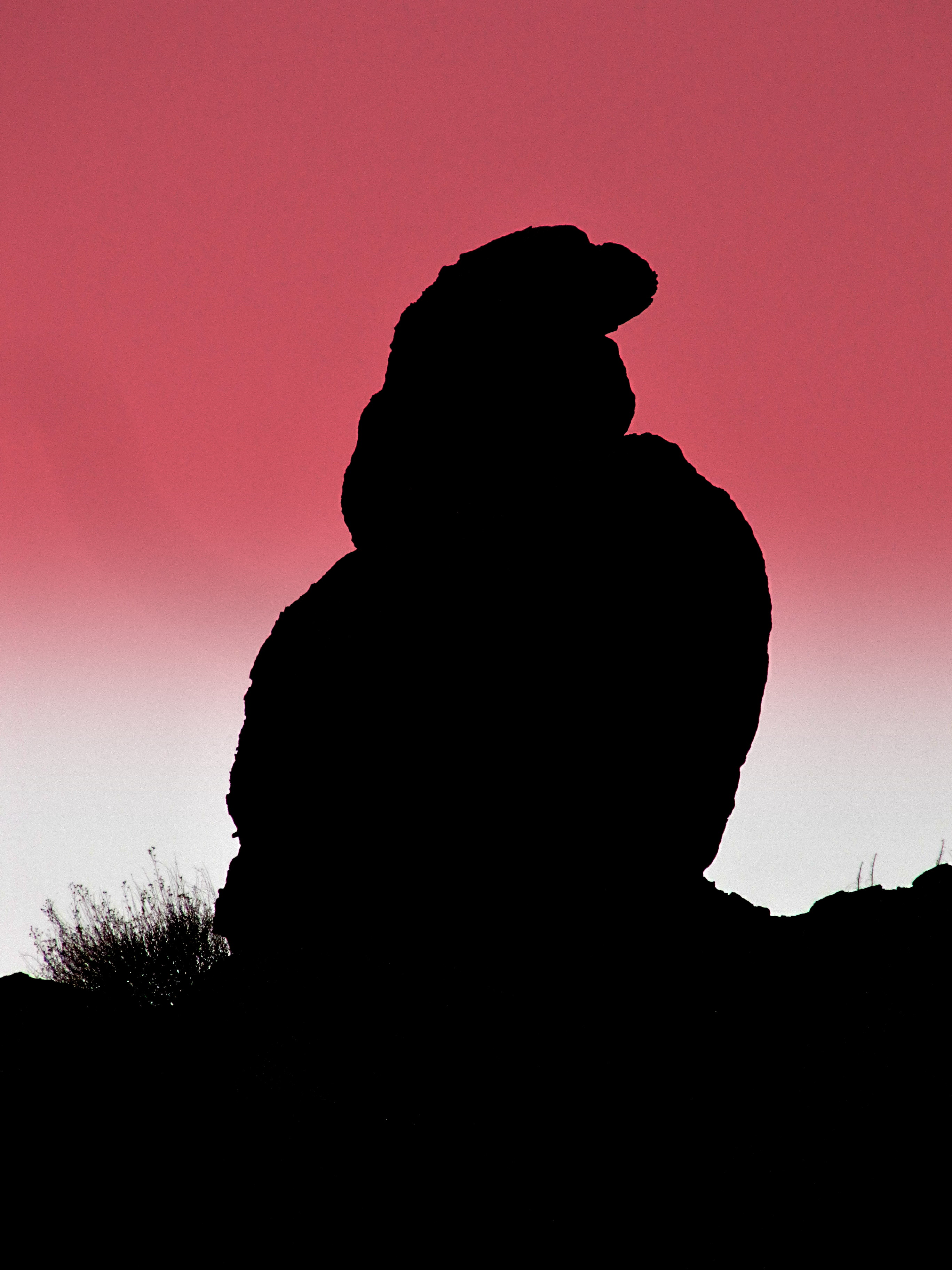 I dubbed this one Hawk Rock, although it looks more like an eagle! Arches N.P.