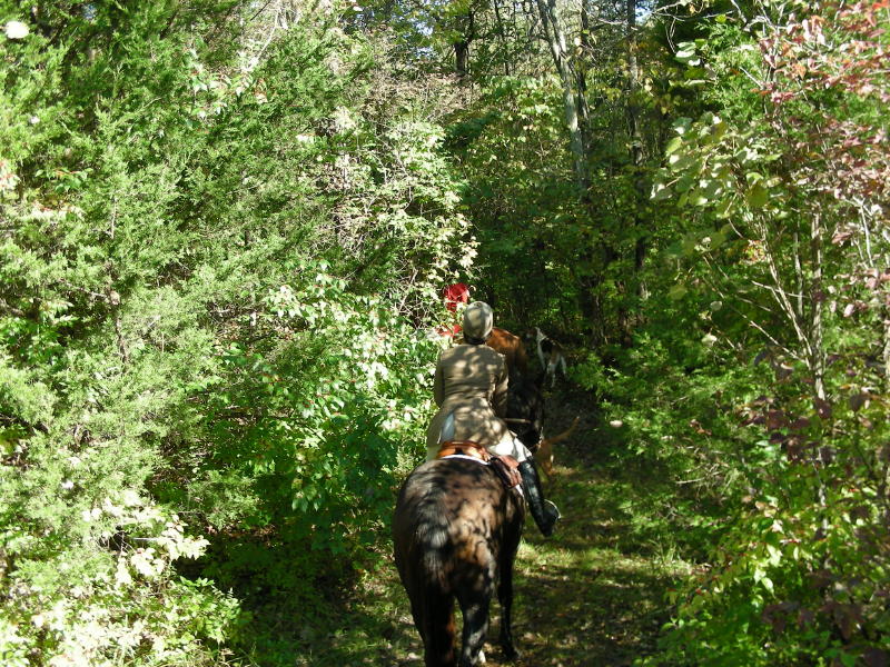 DSCN0531.JPG