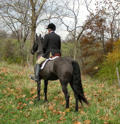 DSCN0189.JPG