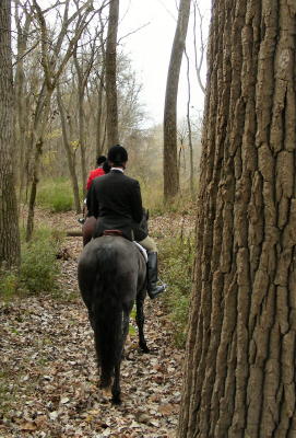 DSCN0228.JPG