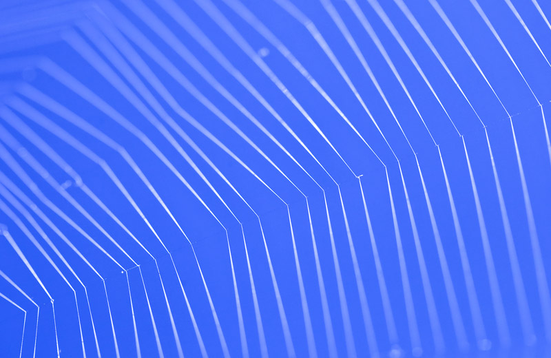 Detail