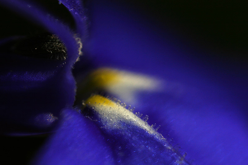 Closer