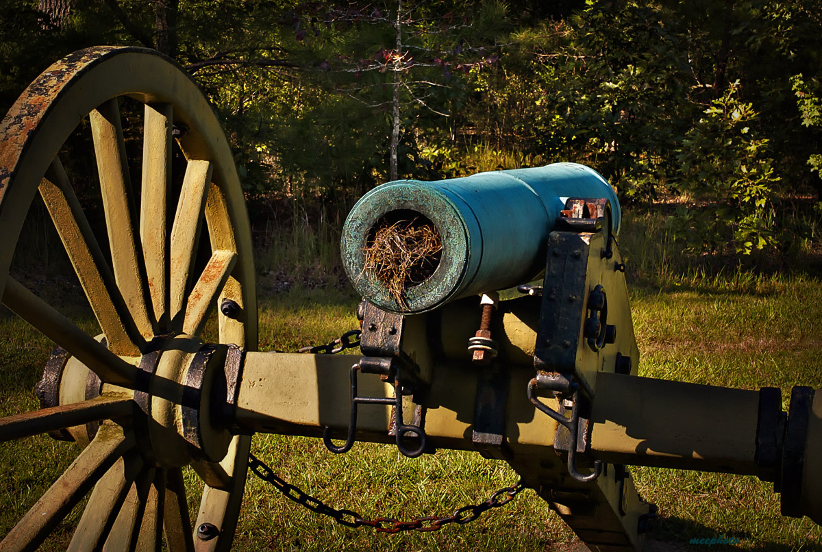 Ploughshares