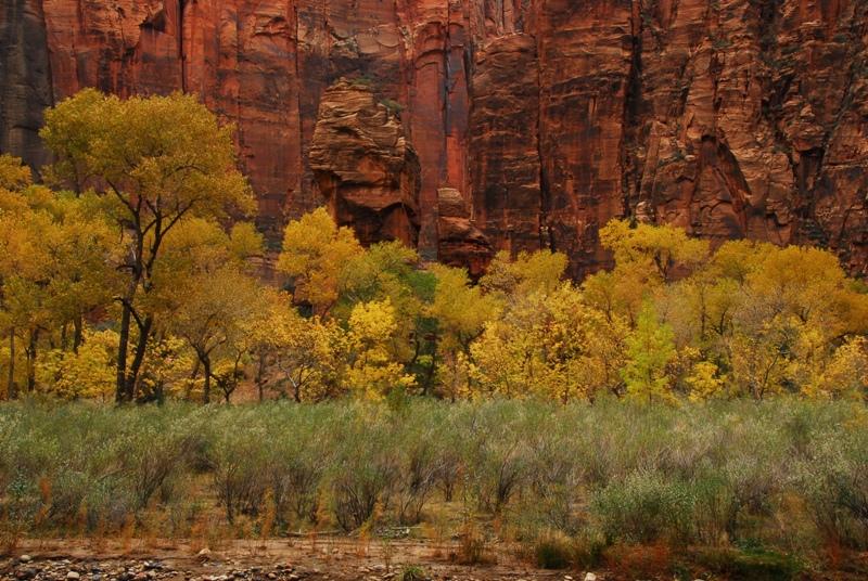 Zion National Park