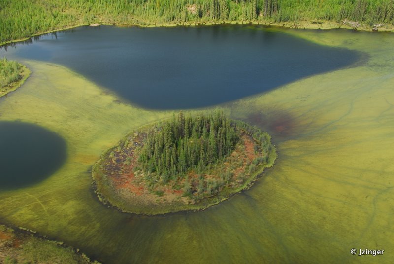 Pond near Seaplane Lake