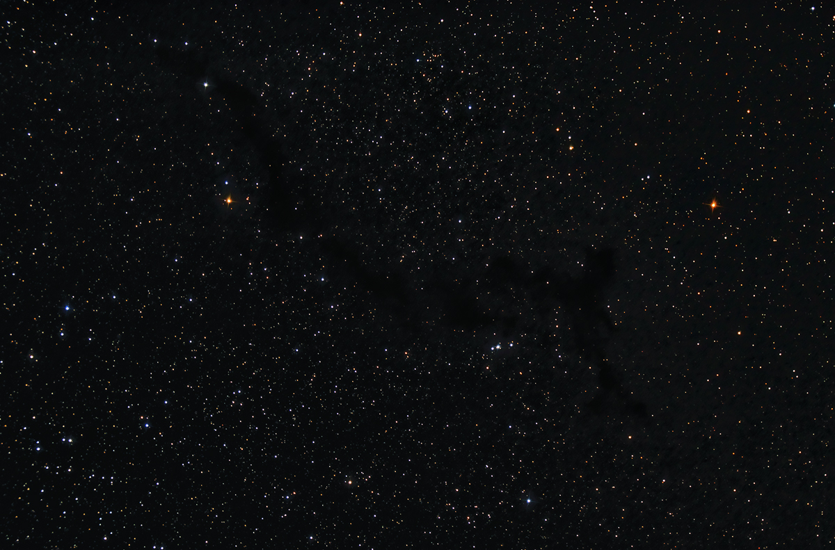  Barnard 150 nebula in Cepheus - 1200 pixels