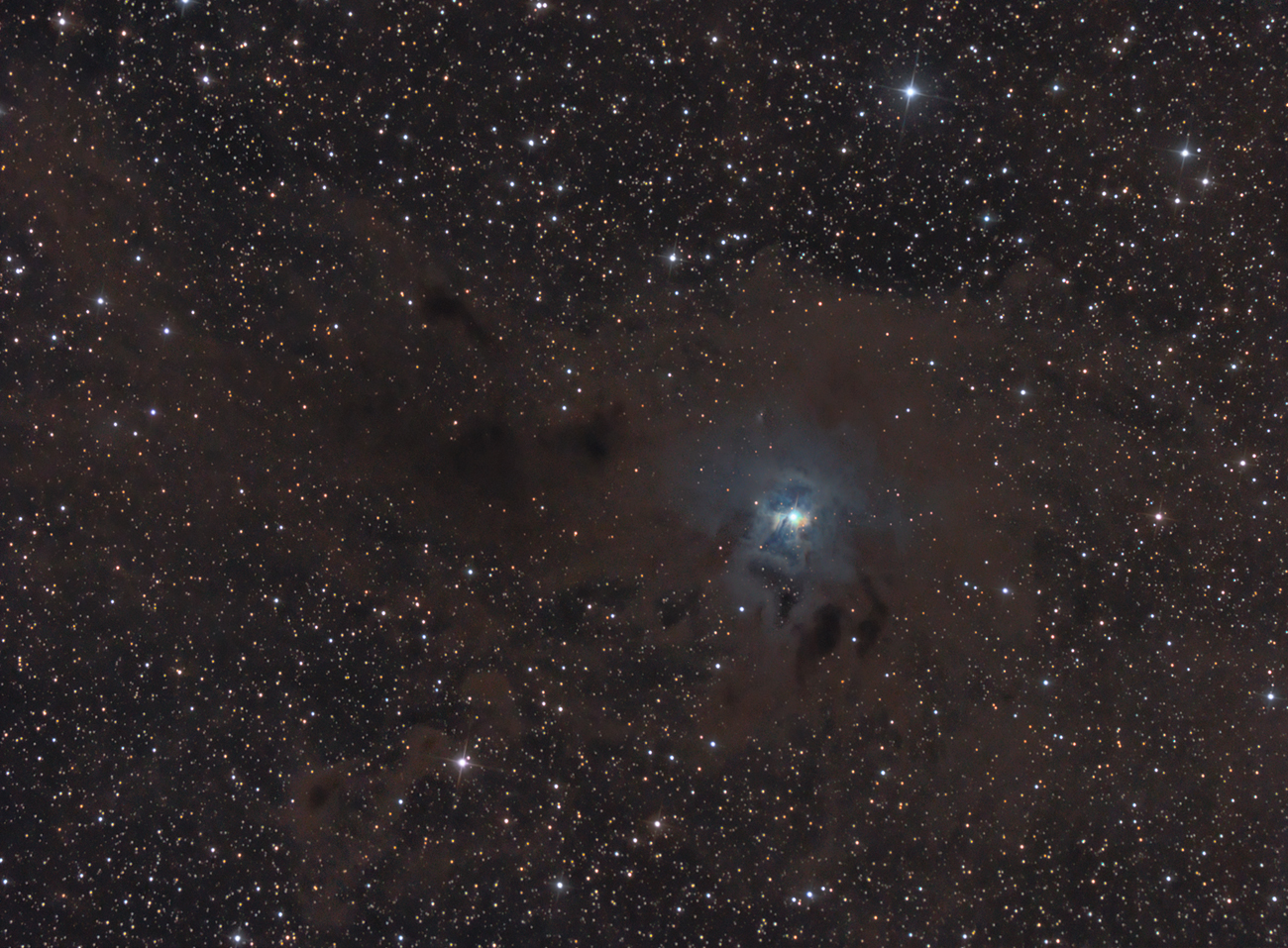 NGC7023 vdB139 C12 The Iris Nebula in Cepheus (1300 pixels)