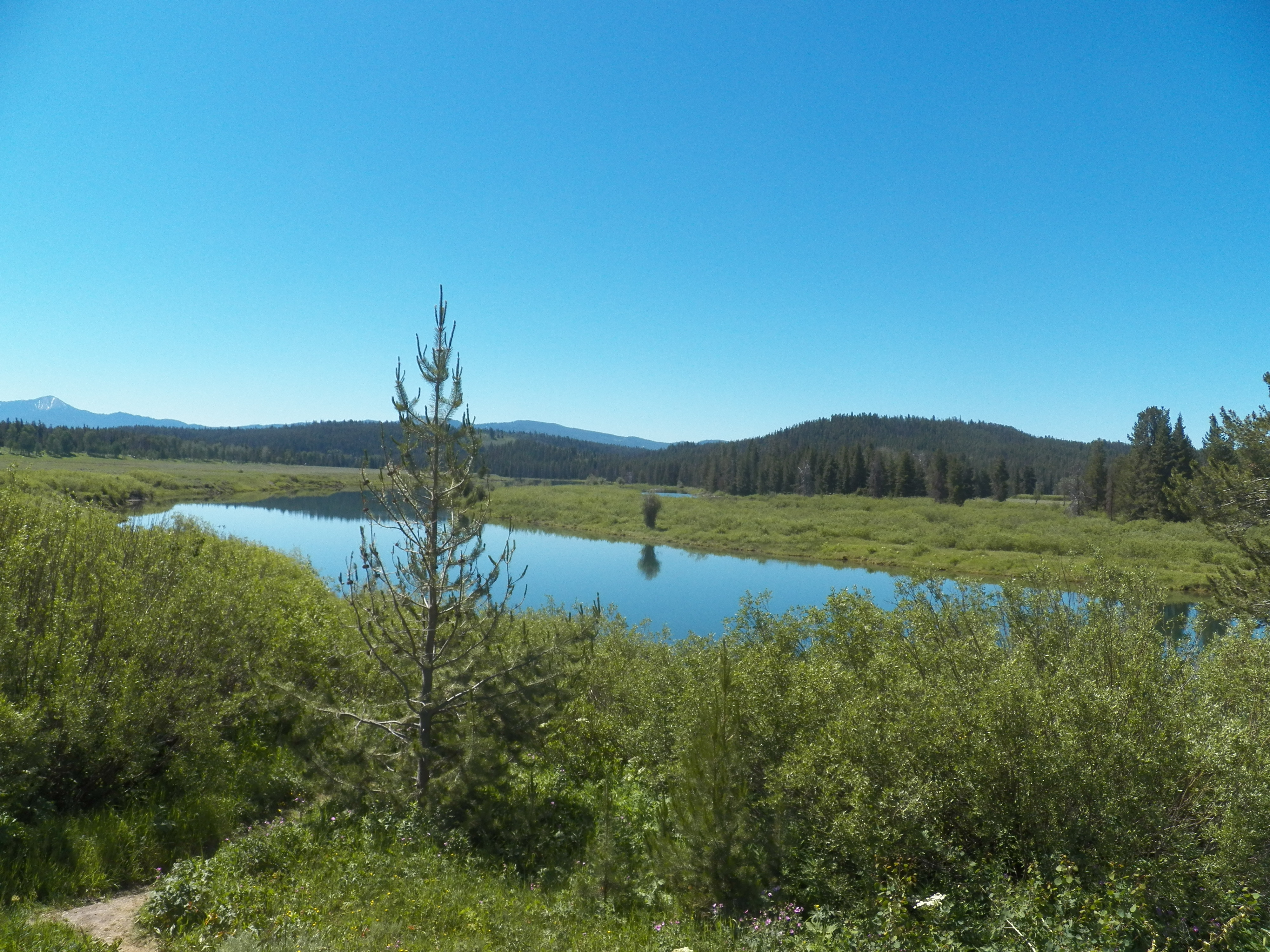 100_1170.JPG