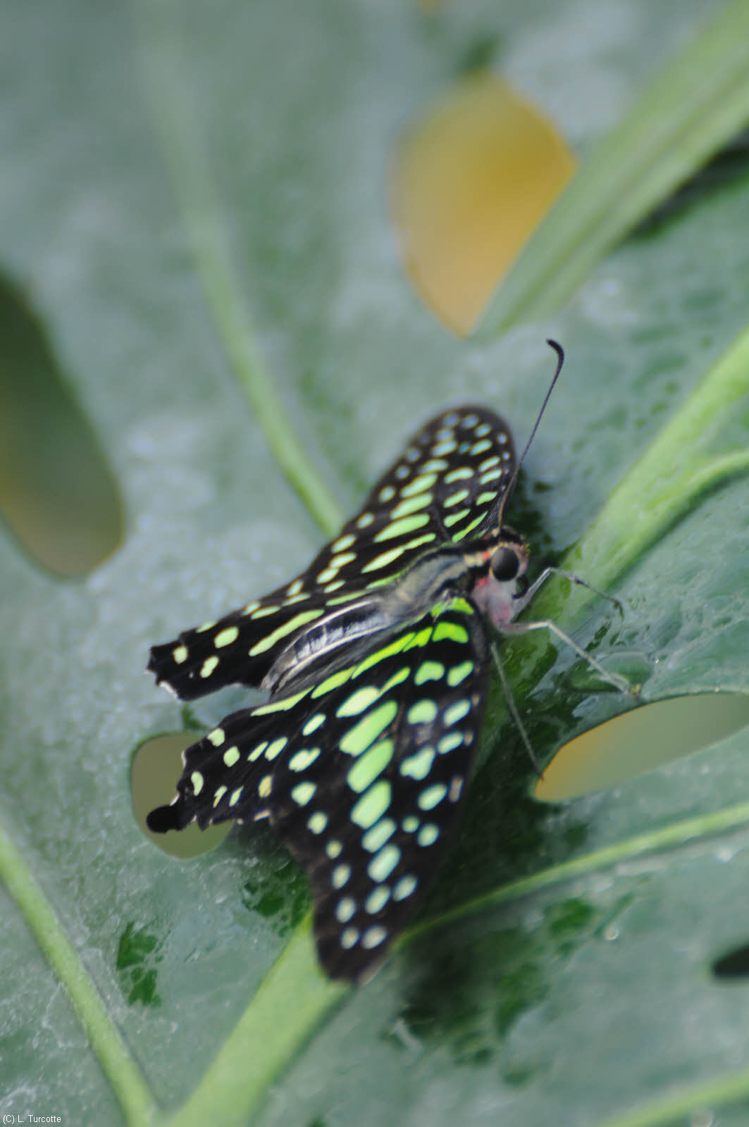 DS0_0834.jpg