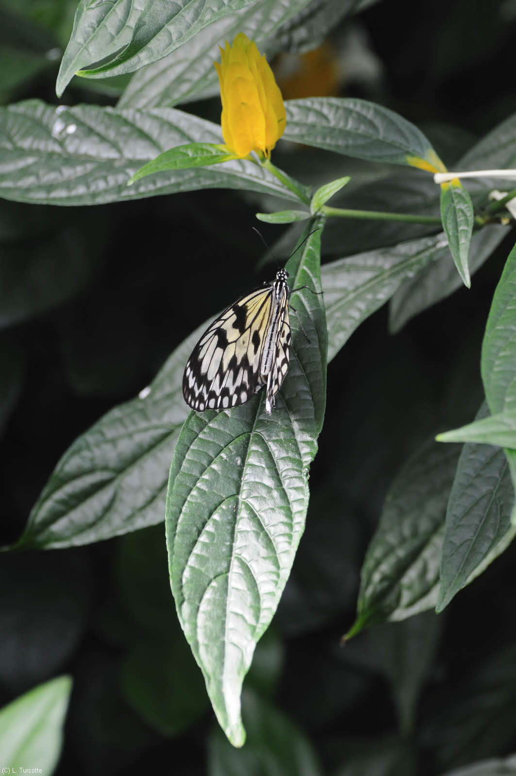 DS0_0869.jpg