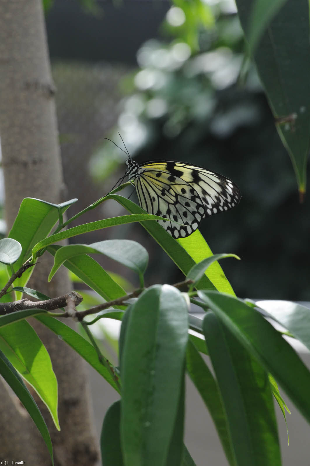 DS0_0884.jpg
