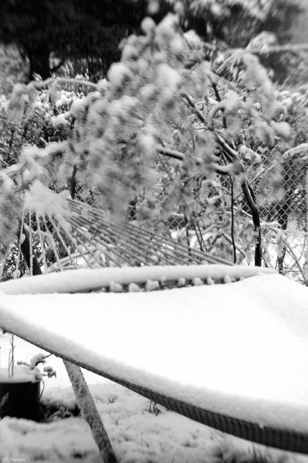DSC_9981.jpg