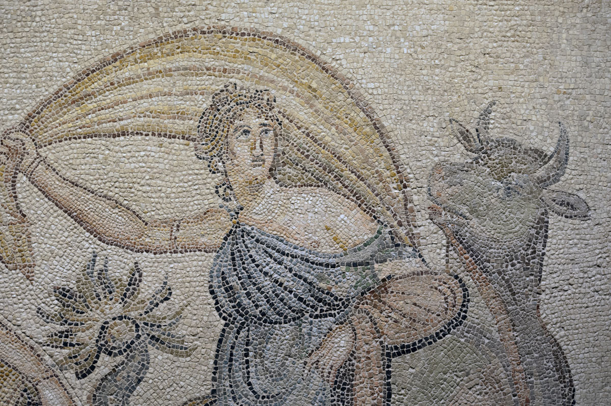 Gaziantep Zeugma Museum December 2011 1931.jpg