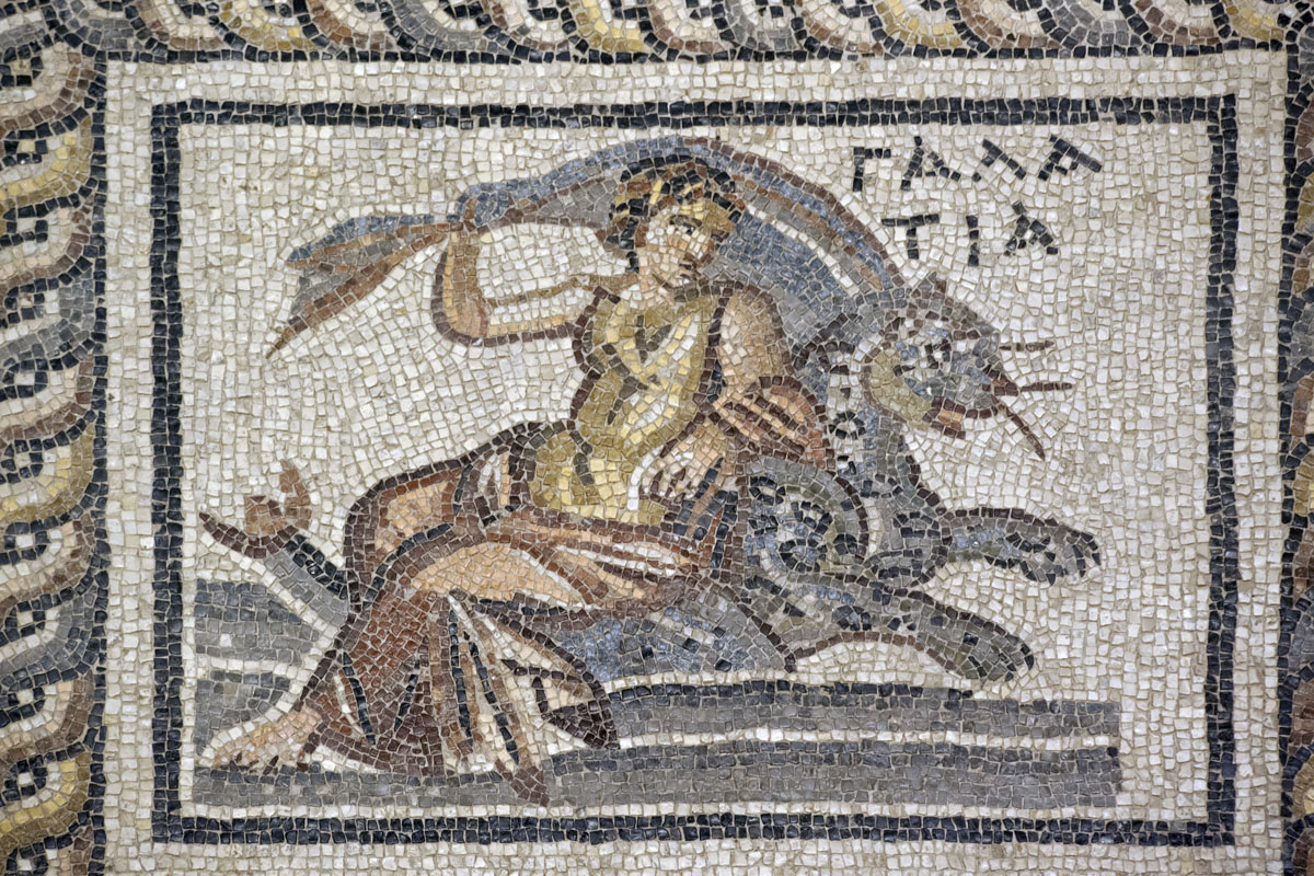 Gaziantep Zeugma Museum December 2011 1950b.jpg