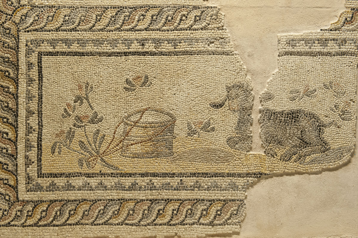 Gaziantep Zeugma Museum December 2011 2031.jpg