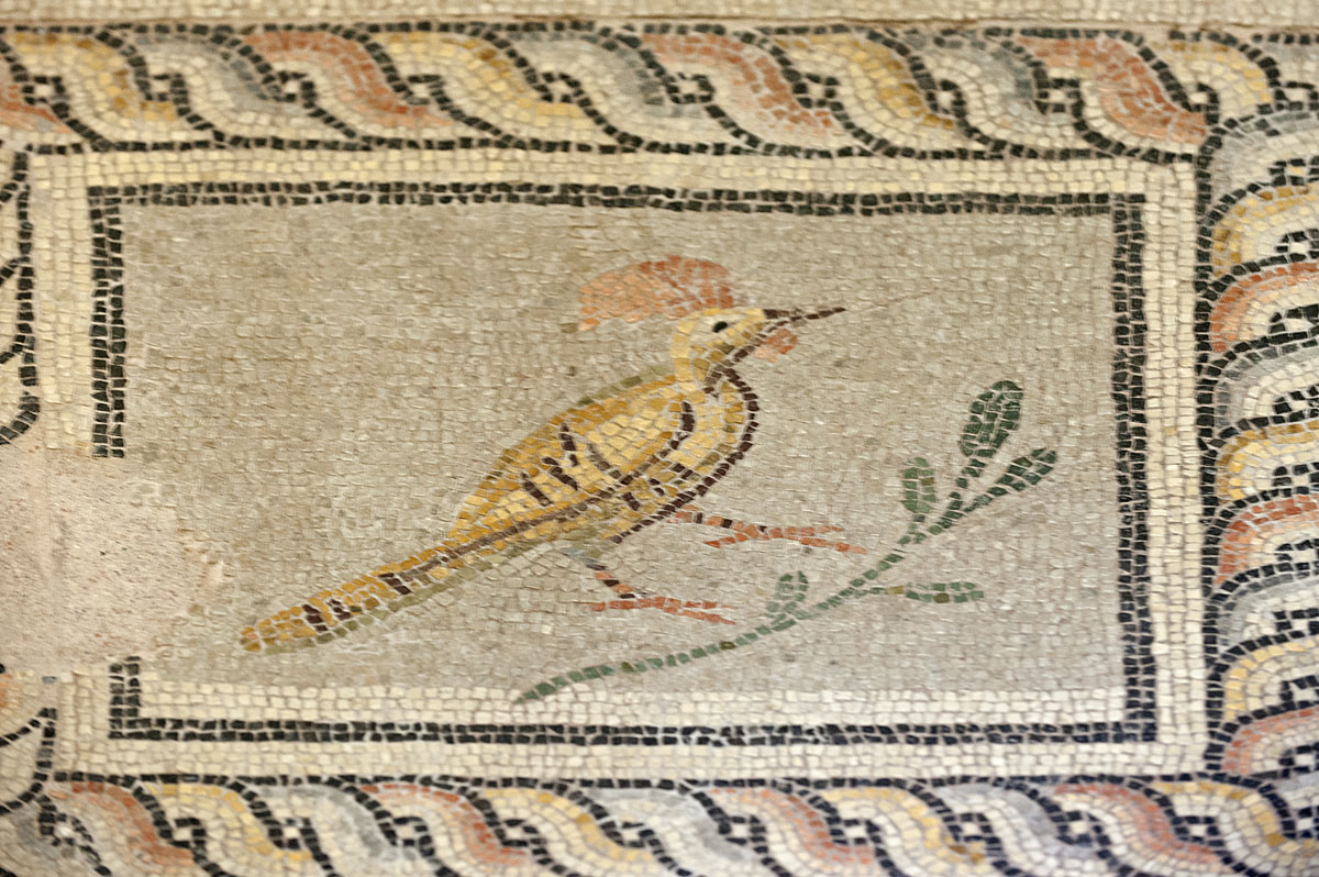 Gaziantep Zeugma Museum December 2011 2038.jpg