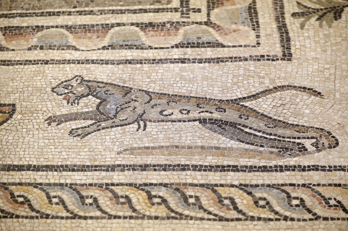 Gaziantep Zeugma Museum December 2011 2064.jpg