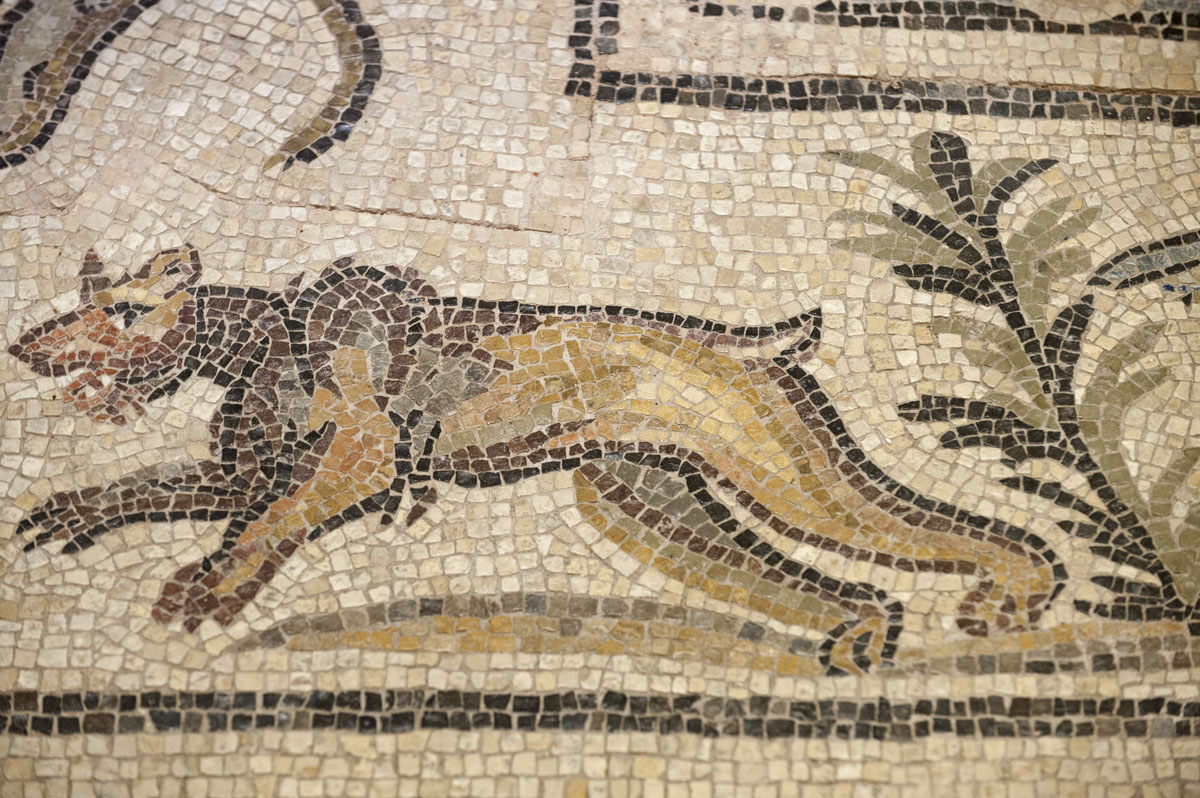 Gaziantep Zeugma Museum December 2011 2065.jpg