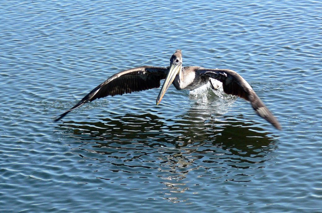 Taking Off