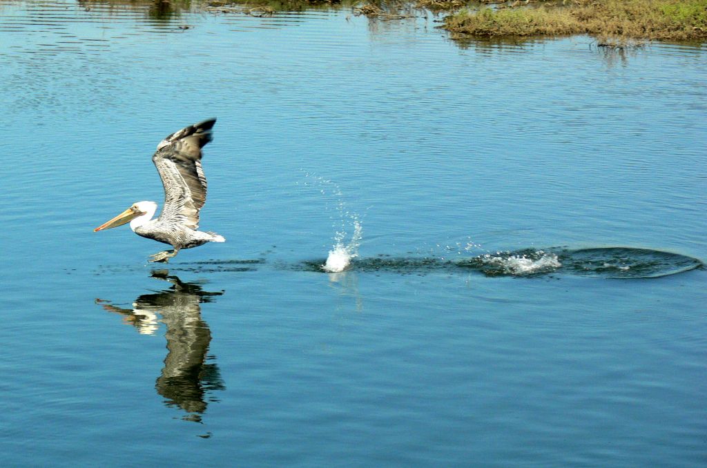 Taking Off