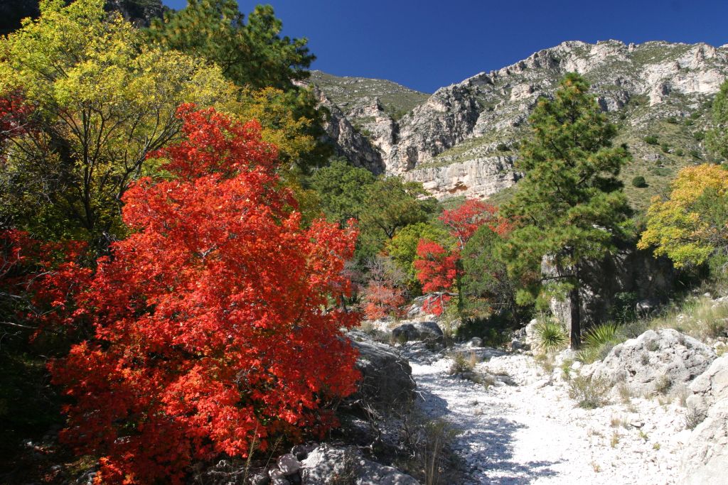 devils hall trail 3.jpg