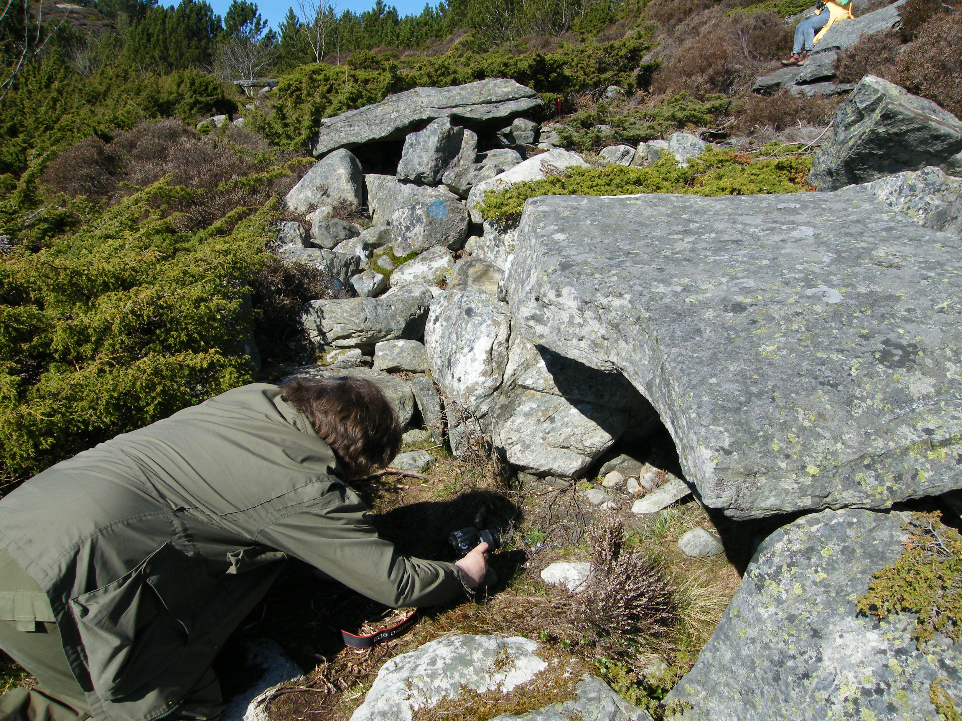 Megalithic Architecture - Stone Age construction
