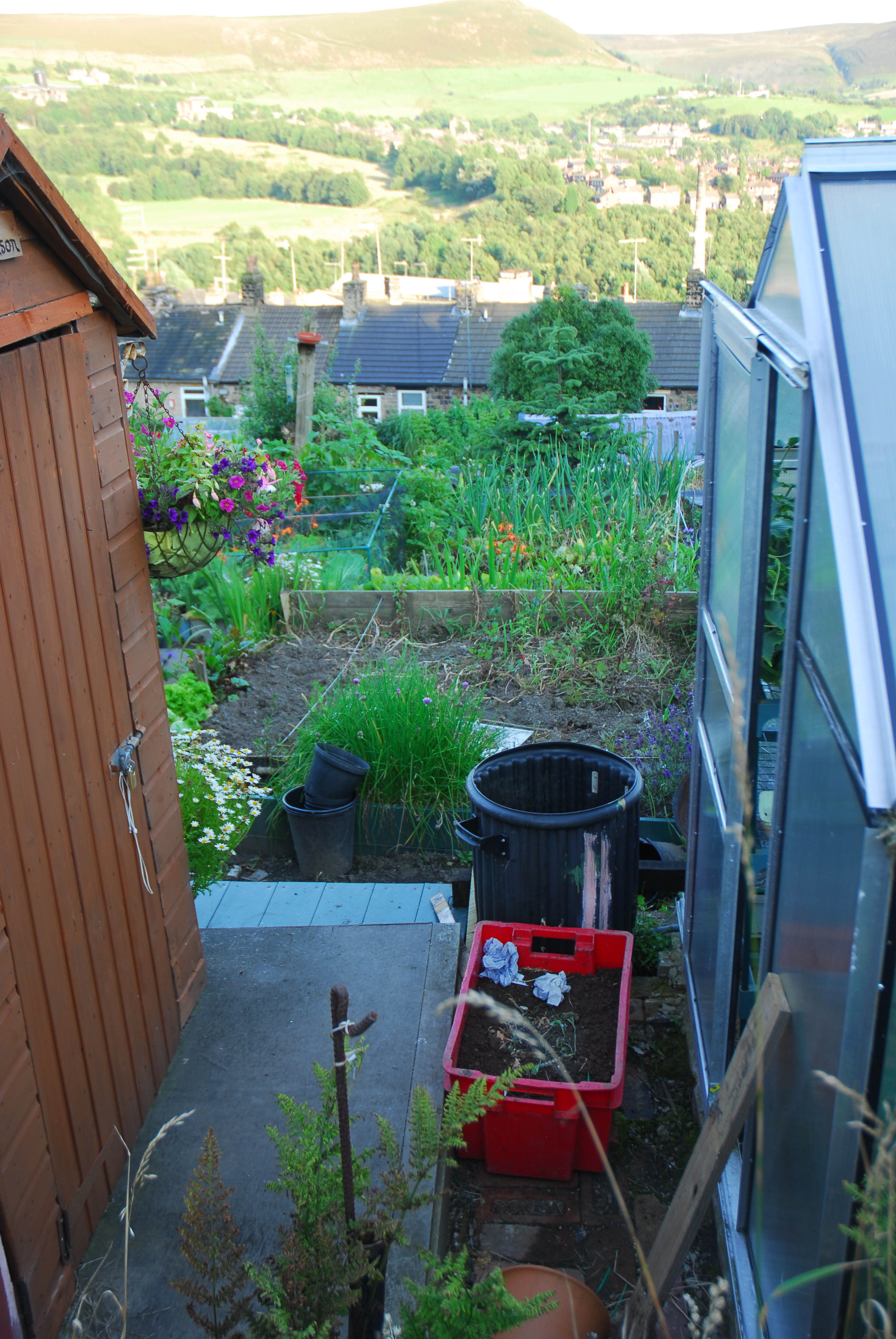 Allotment plots