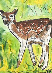 ACEO Fawn