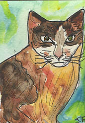 ACEO Mr Brown Cat Original mini Art now SOLD