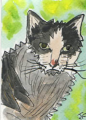 ACEO Mr Grump The Cat SOLD