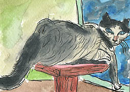 ACEO CAT NAP