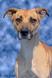 Andrew---Chance-Foundation-8771-Edit.jpg