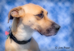Andrew---Chance-Foundation-8796-Edit.jpg