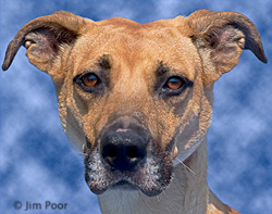 Andrew-2-Chance-Foundation-8771-Edit.jpg