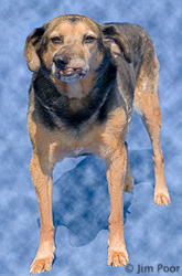 Angel---Chance-Foundation-9094-Edit.jpg