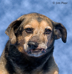 Angel---Chance-Foundation-9098-Edit.jpg