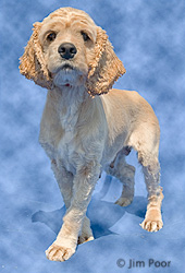 Butter-Cup---Chance-Foundation-9148-Edit.jpg